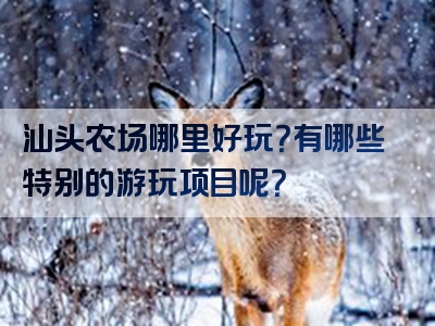 汕头农场哪里好玩？有哪些特别的游玩项目呢？