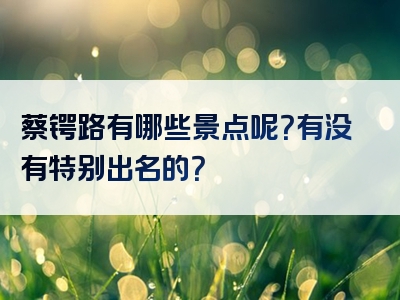 蔡锷路有哪些景点呢？有没有特别出名的？