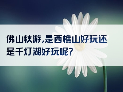 佛山秋游，是西樵山好玩还是千灯湖好玩呢？