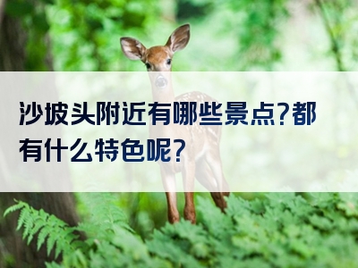 沙坡头附近有哪些景点？都有什么特色呢？