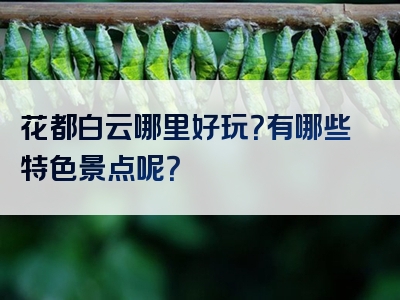 花都白云哪里好玩？有哪些特色景点呢？