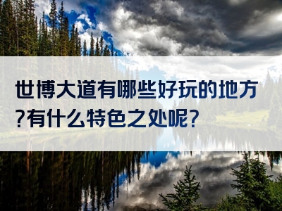 世博大道有哪些好玩的地方？有什么特色之处呢？