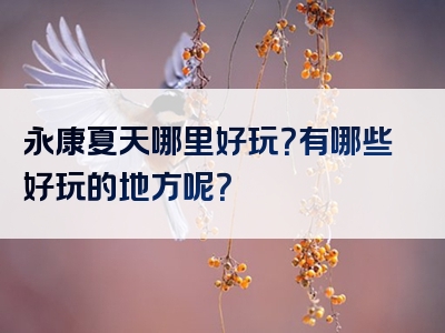 永康夏天哪里好玩？有哪些好玩的地方呢？