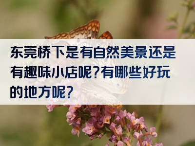 东莞桥下是有自然美景还是有趣味小店呢？有哪些好玩的地方呢？