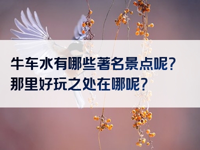 牛车水有哪些著名景点呢？那里好玩之处在哪呢？