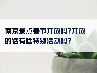 南京景点春节开放吗？开放的话有啥特别活动吗？