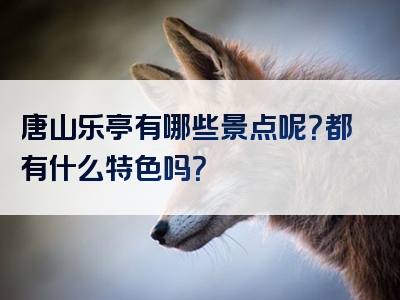 唐山乐亭有哪些景点呢？都有什么特色吗？