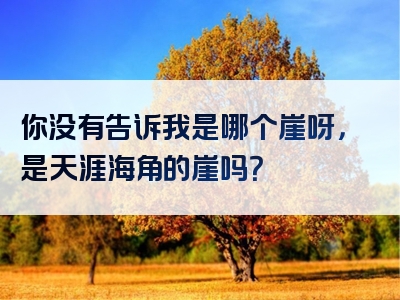 你没有告诉我是哪个崖呀，是天涯海角的崖吗？