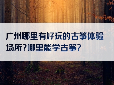 广州哪里有好玩的古筝体验场所？哪里能学古筝？