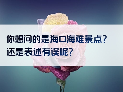 你想问的是海口海难景点？还是表述有误呢？