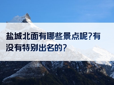 盐城北面有哪些景点呢？有没有特别出名的？