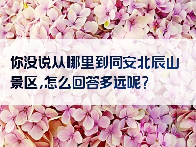 你没说从哪里到同安北辰山景区，怎么回答多远呢？