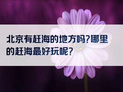 北京有赶海的地方吗？哪里的赶海最好玩呢？