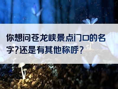 你想问苍龙峡景点门口的名字？还是有其他称呼？