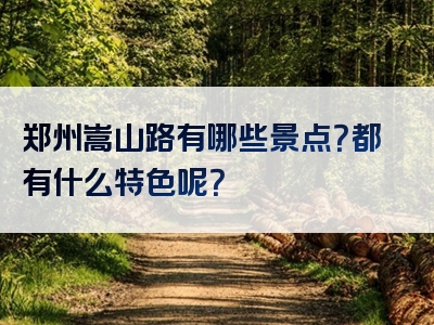 郑州嵩山路有哪些景点？都有什么特色呢？