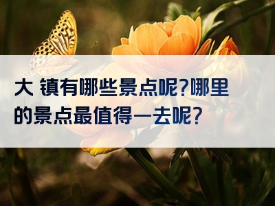 大崀镇有哪些景点呢？哪里的景点最值得一去呢？