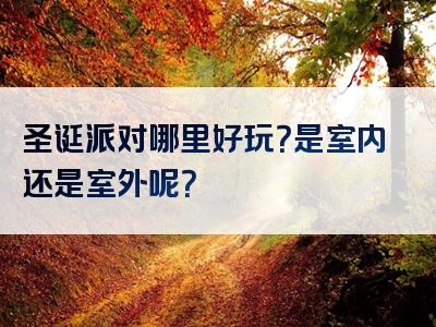 圣诞派对哪里好玩？是室内还是室外呢？