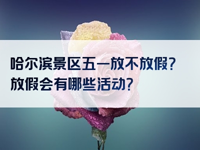 哈尔滨景区五一放不放假？放假会有哪些活动？