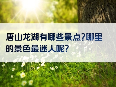 唐山龙湖有哪些景点？哪里的景色最迷人呢？