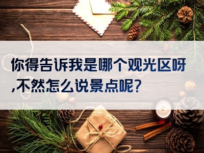 你得告诉我是哪个观光区呀，不然怎么说景点呢？