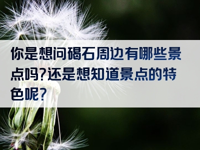 你是想问碣石周边有哪些景点吗？还是想知道景点的特色呢？