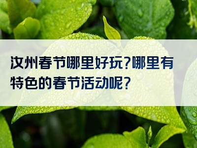 汝州春节哪里好玩？哪里有特色的春节活动呢？