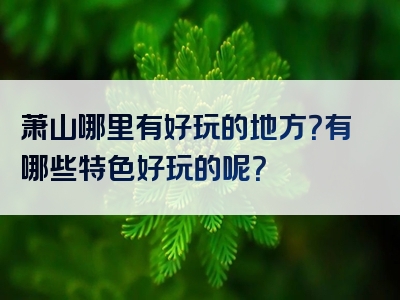 萧山哪里有好玩的地方？有哪些特色好玩的呢？