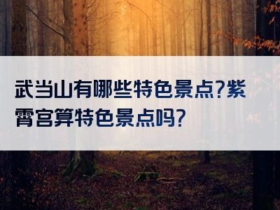 武当山有哪些特色景点？紫霄宫算特色景点吗？