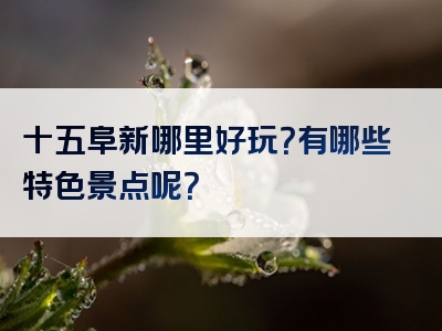 十五阜新哪里好玩？有哪些特色景点呢？