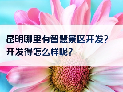 昆明哪里有智慧景区开发？开发得怎么样呢？