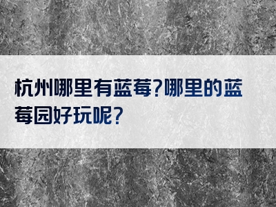 杭州哪里有蓝莓？哪里的蓝莓园好玩呢？