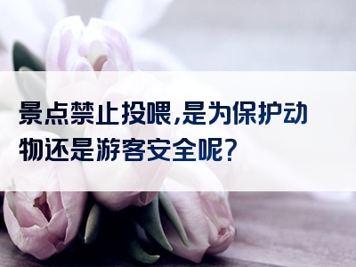 景点禁止投喂，是为保护动物还是游客安全呢？