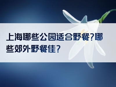 上海哪些公园适合野餐？哪些郊外野餐佳？