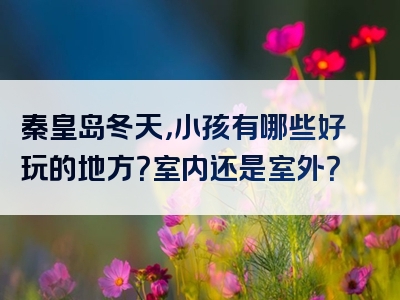 秦皇岛冬天，小孩有哪些好玩的地方？室内还是室外？