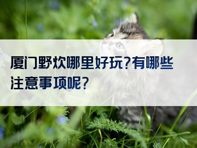 厦门野炊哪里好玩？有哪些注意事项呢？