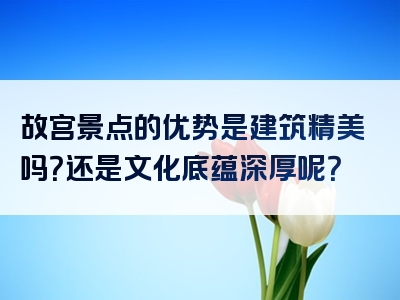 故宫景点的优势是建筑精美吗？还是文化底蕴深厚呢？