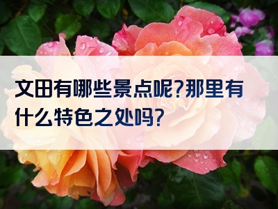 文田有哪些景点呢？那里有什么特色之处吗？