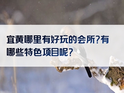 宜黄哪里有好玩的会所？有哪些特色项目呢？