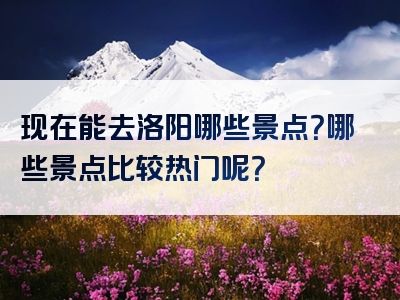 现在能去洛阳哪些景点？哪些景点比较热门呢？