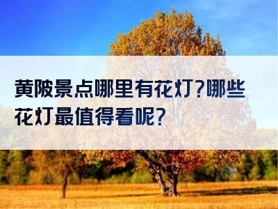 黄陂景点哪里有花灯？哪些花灯最值得看呢？
