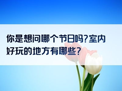 你是想问哪个节日吗？室内好玩的地方有哪些？