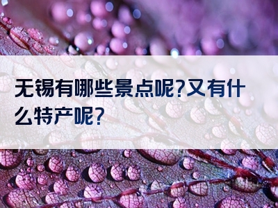 无锡有哪些景点呢？又有什么特产呢？