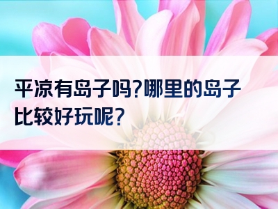 平凉有岛子吗？哪里的岛子比较好玩呢？