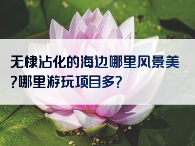 无棣沾化的海边哪里风景美？哪里游玩项目多？