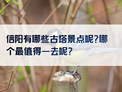 信阳有哪些古塔景点呢？哪个最值得一去呢？