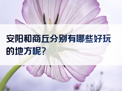 安阳和商丘分别有哪些好玩的地方呢？