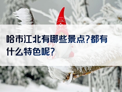 哈市江北有哪些景点？都有什么特色呢？