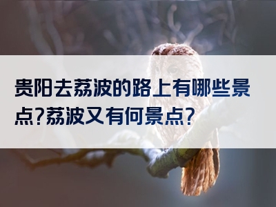 贵阳去荔波的路上有哪些景点？荔波又有何景点？