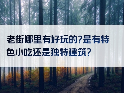 老街哪里有好玩的？是有特色小吃还是独特建筑？