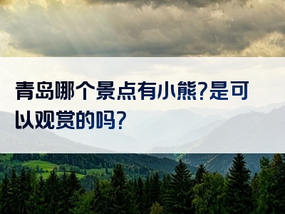 青岛哪个景点有小熊？是可以观赏的吗？